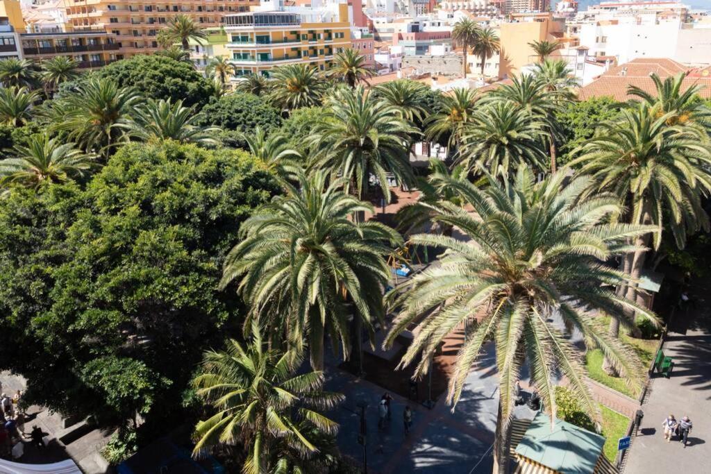 Apartment Atico Junto Al Mar Puerto de la Cruz (Tenerife)